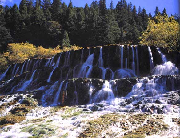 ������������